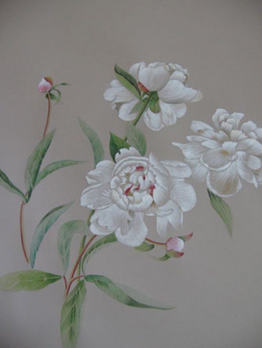 Pivoines blanches,gouache sur papier teinté,50x65cm