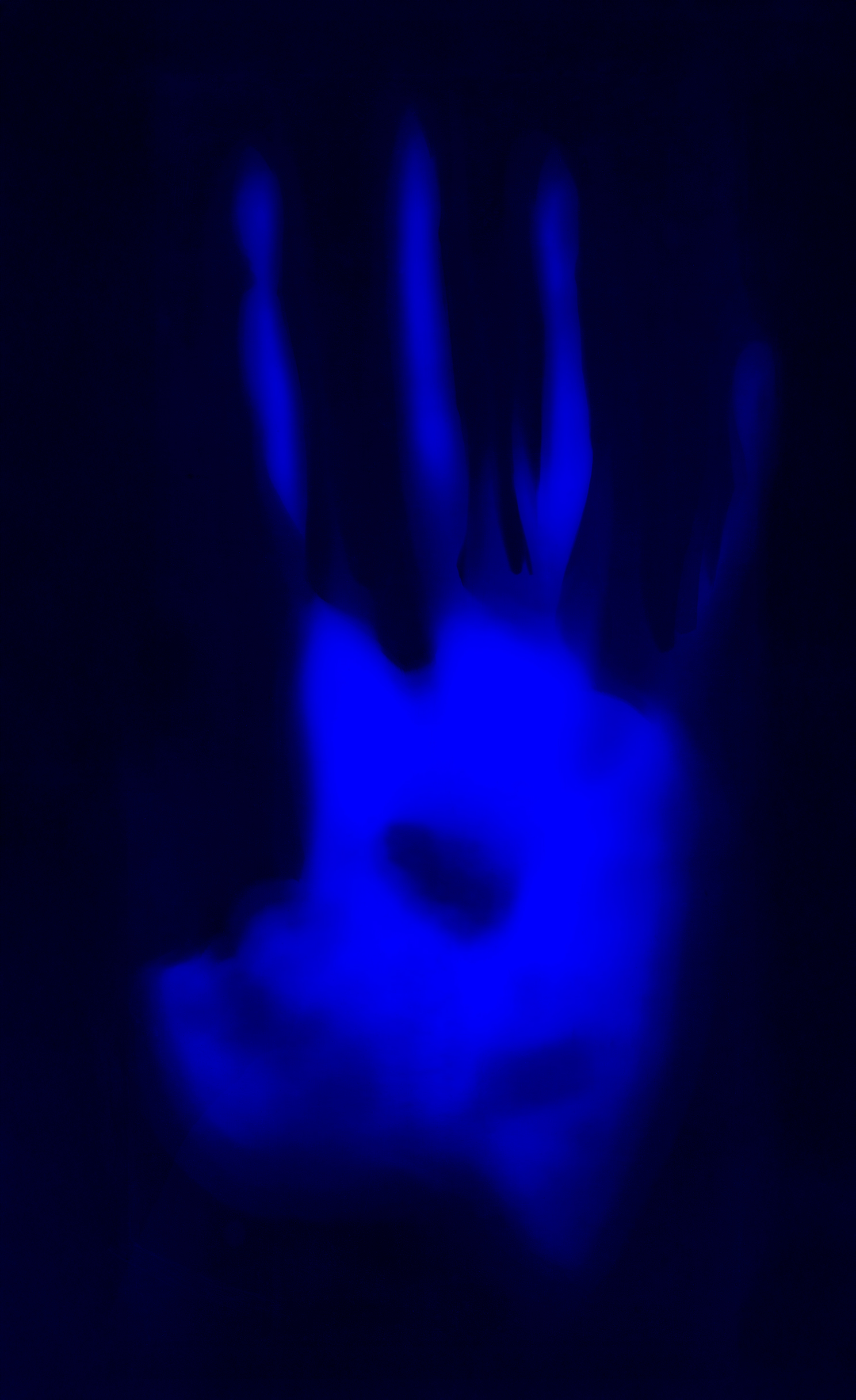 Emile 2025 Tirage sur plaque en aluminium Chromaluxe. © Christophe ANDRUSIN